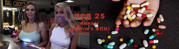 шишки Богданович