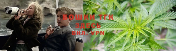 гашик Богородск