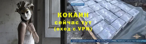 шишки Богданович
