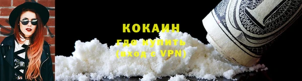 дурь Богородицк