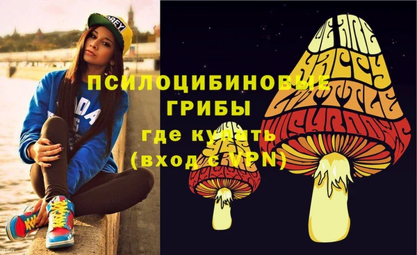 шишки Богданович