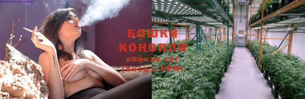 шишки Богданович